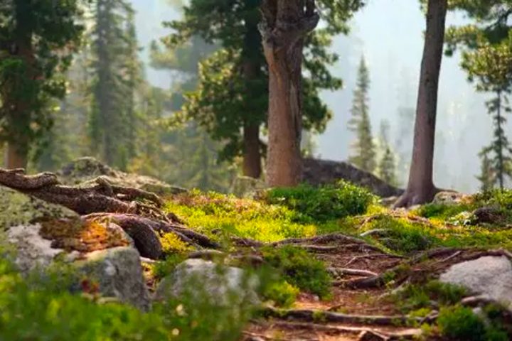 Tuotteiden vastuullisuus